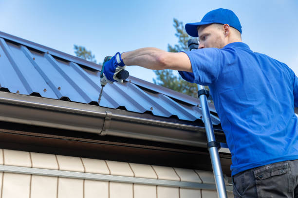 Best Roof Moss and Algae Removal  in Roebuck, SC